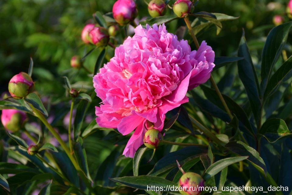 ������������ ������ � ������: ��� ����������� ����� � ���� � �������� ��������