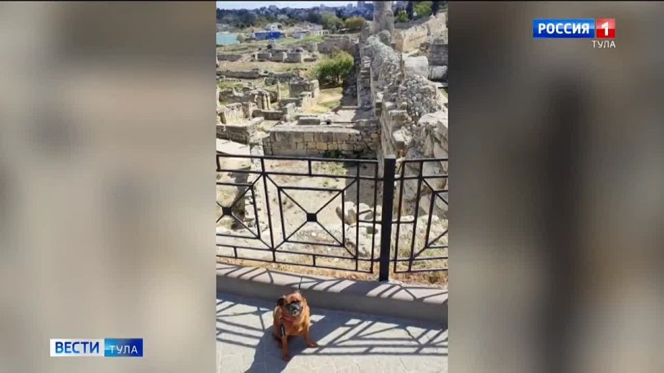 � ���� 13 �������� ������ ������� �������� � ���������