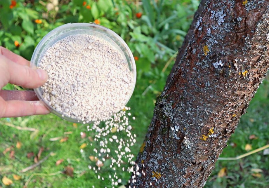 ������� ������� ��������� �������� ��� �������� � �������� ������