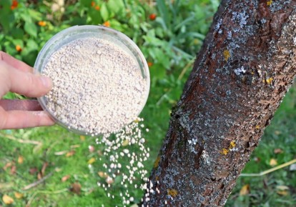 ������� ������� ��������� �������� ��� �������� � �������� ������