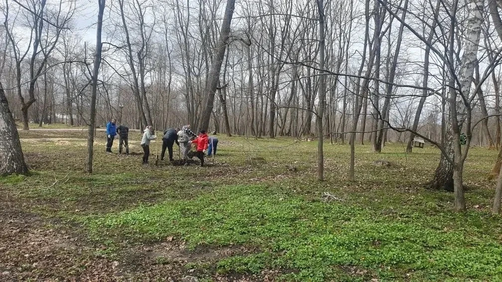 Дмитрий Миляев: #СталоЧище2026. Тульские леса очищают от сухостоя и мусора Весенняя уборка лесных территорий вдоль тульских дорог идет полным ходом Дмитрий Миляев: #СталоЧище2026. Тульские леса очищают от сухостоя и мусора Весенняя уборка лесных территорий вдоль тульских дорог идет полным ходом