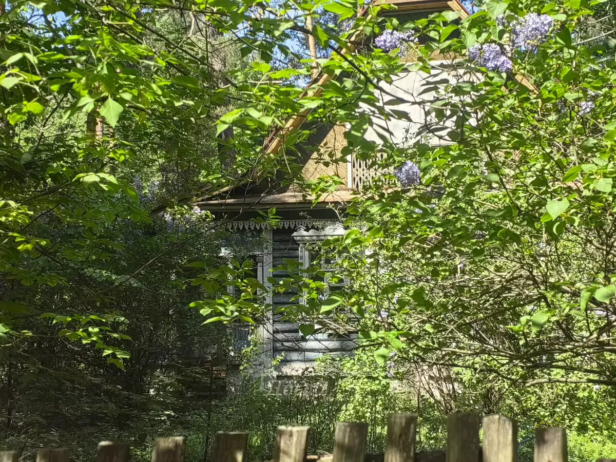 Почему дача с проблемами — это не всегда плохой выбор