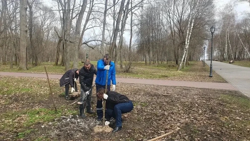 Дмитрий Миляев: #СталоЧище2026. Тульские леса очищают от сухостоя и мусора Весенняя уборка лесных территорий вдоль тульских дорог идет полным ходом Дмитрий Миляев: #СталоЧище2026. Тульские леса очищают от сухостоя и мусора Весенняя уборка лесных территорий вдоль тульских дорог идет полным ходом