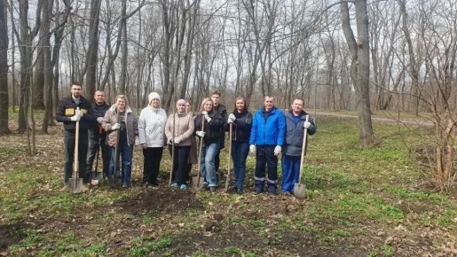 Дмитрий Миляев: #СталоЧище2026. Тульские леса очищают от сухостоя и мусора Весенняя уборка лесных территорий вдоль тульских дорог идет полным ходом