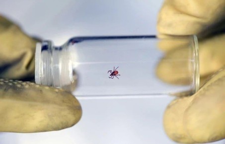 �� ������ � �������� ������� �� ������ ������ ���������� 17 �������