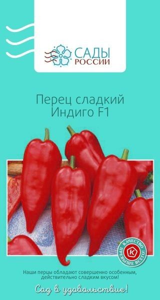 ����� ������: ������� �����, ��������� ���������