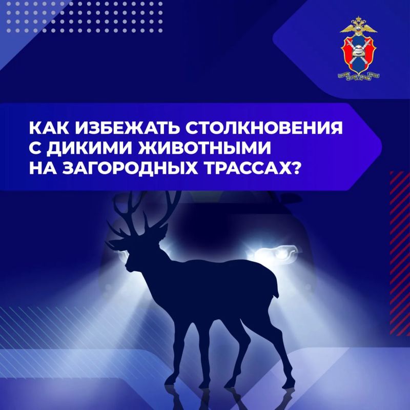 ��� �������� ������������ � ������ ��������� �� ���������� �������?