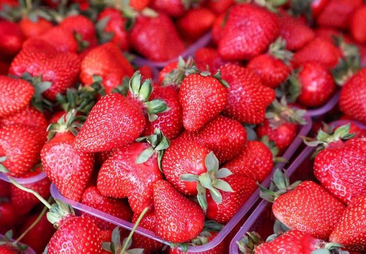 ��������� ���������: � ������ ����� ��������� � ���������� �������� ��������, ���������� �����