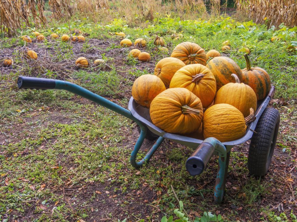 ������ ����� �� ������: 23 ������� ������� ������