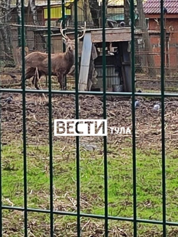 ������� � ��������� ��������� �����