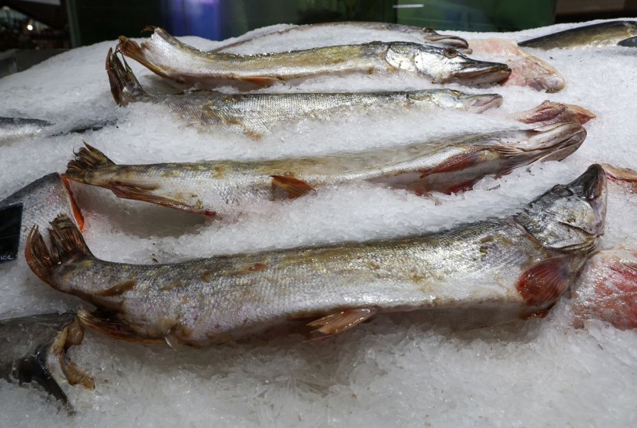 ���� �� ���� �������� ��������: ��� ���� ����������� � 2026 ����?