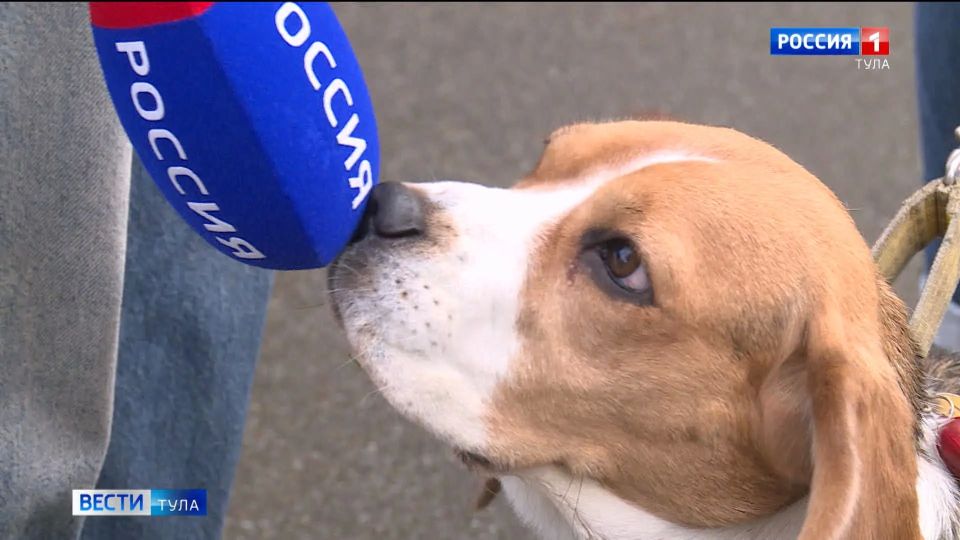 ������� �����: ������� ����� ���������� ������ ����� � ����� � �������