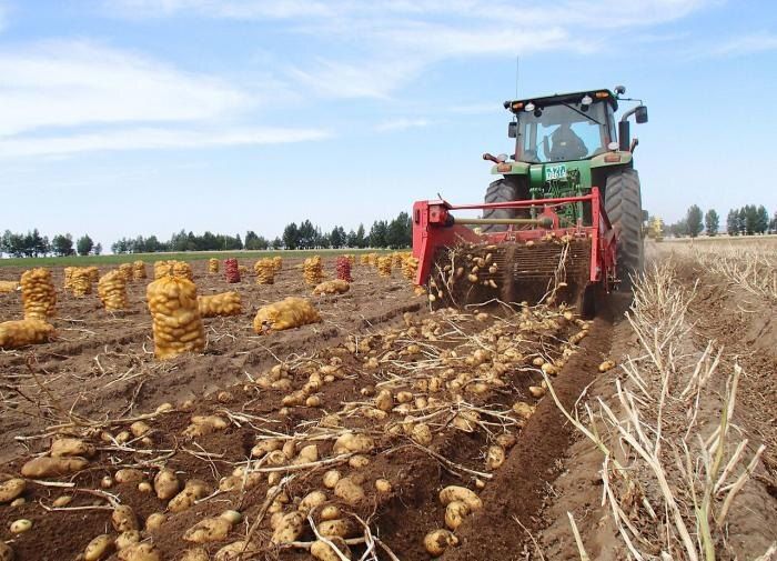 ��� ������������ ����� ����� ���������: ������������� ������� ��� ��������