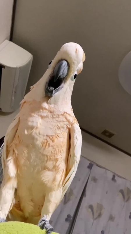 � ����� �������� � ��������� �� �����