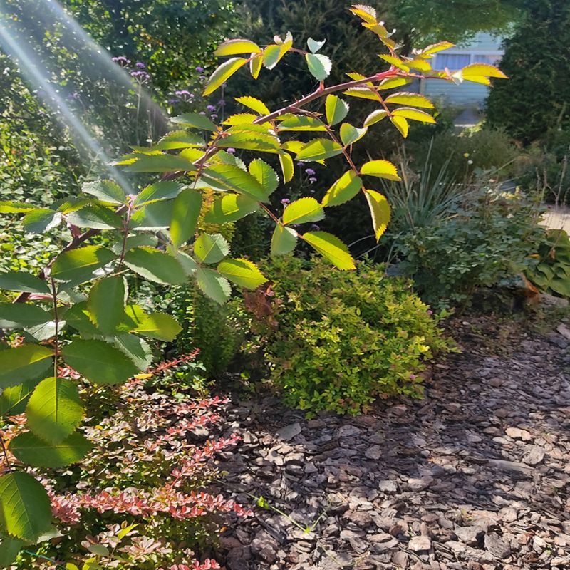 ���� � ��������: ��� ��������� � ��������?