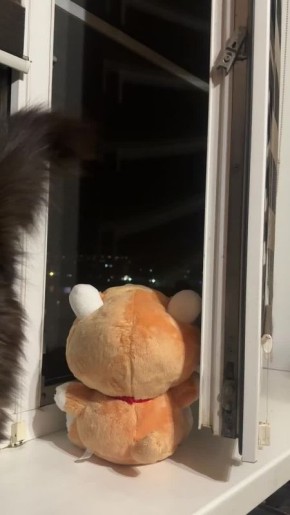 #��� #��������� #������� #������������� #Police #RussianPolice #Russia #��������������� #�����������������