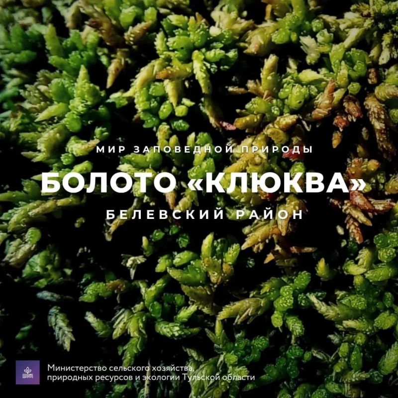 ������� ������: #������������������. ������� ������-����������������� ���� � ������������ ������� ������� � ��������� ������ �������� ������� ���� �����, ������� ������ ������ �� ������ ��������� ����� ��� �������� �����...