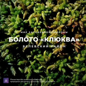 ������� ������: #������������������. ������� ������-����������������� ���� � ������������ ������� ������� � ��������� ������ �������� ������� ���� �����, ������� ������ ������ �� ������ ��������� ����� ��� �������� �����...