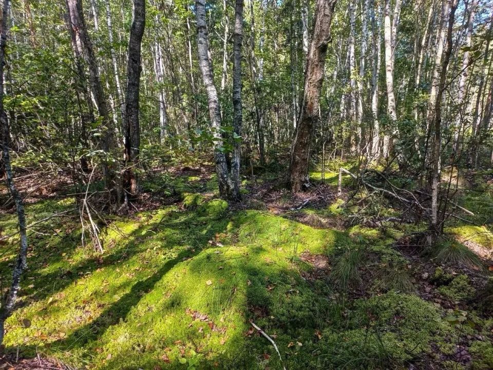 ������ ��������� ����� � �������� �������