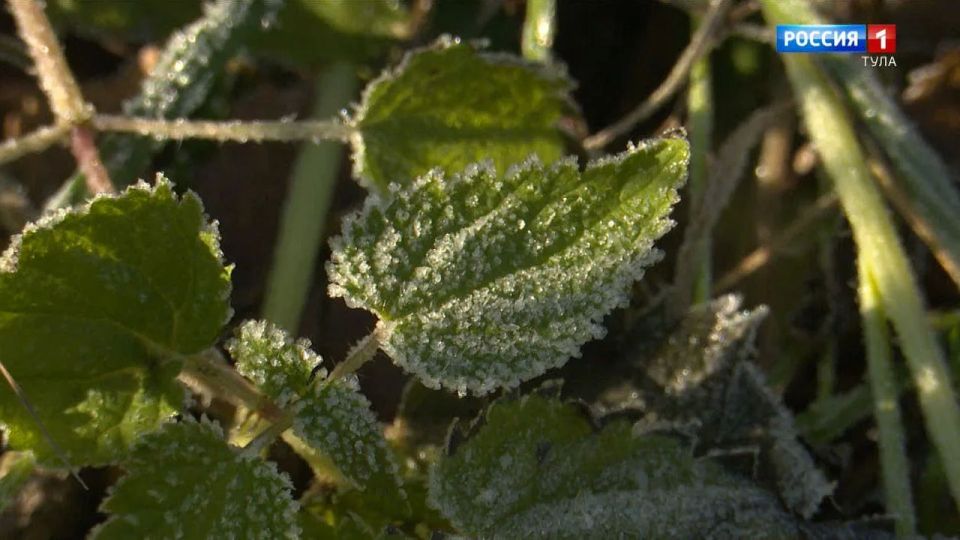 ���������� ��������� �������: �� ����� � ���� �������� ����������