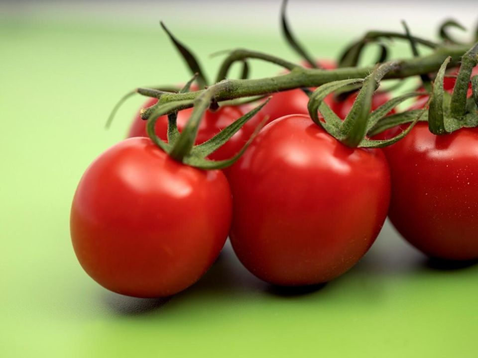 ������: �� �������� ������� �������� �� ����������������� ����