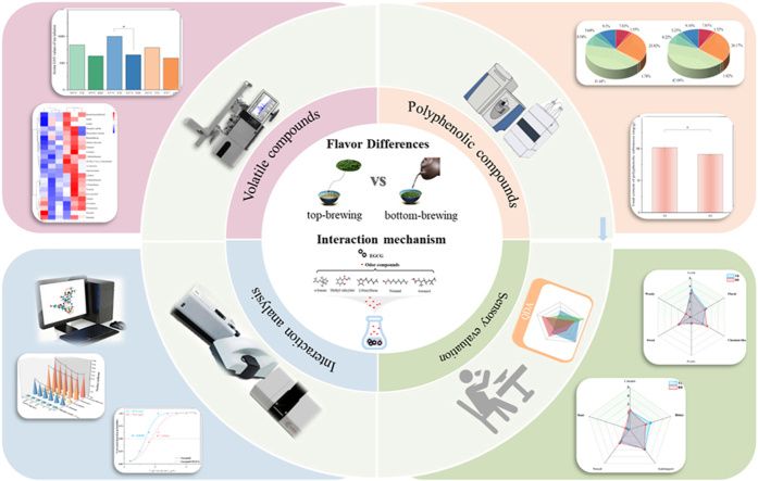 ������� �����������: ������� � ������ ������