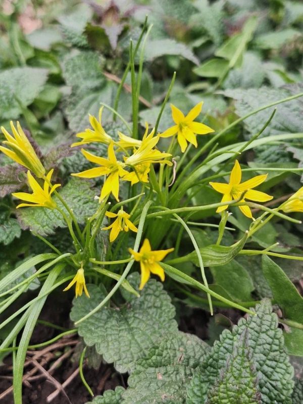 ���� ��������: ������, ����� � ����� ����