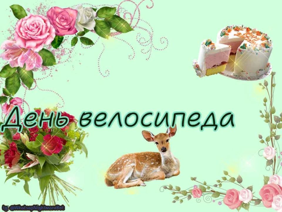 #��������������� �� 19 ������