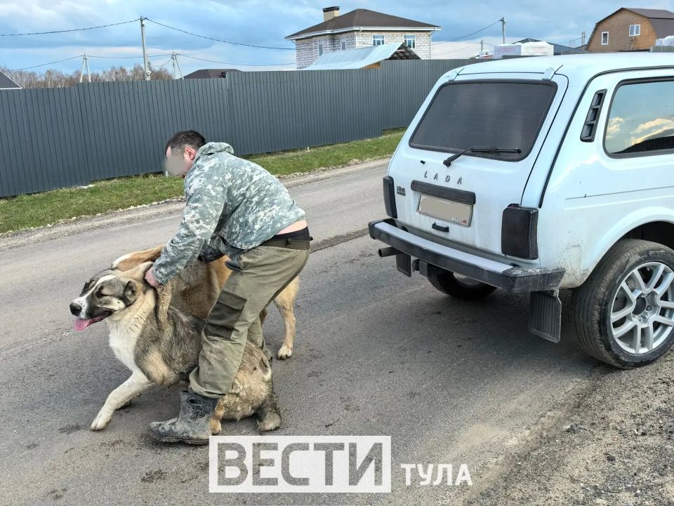 �� ��������� ������ ���������� ��������