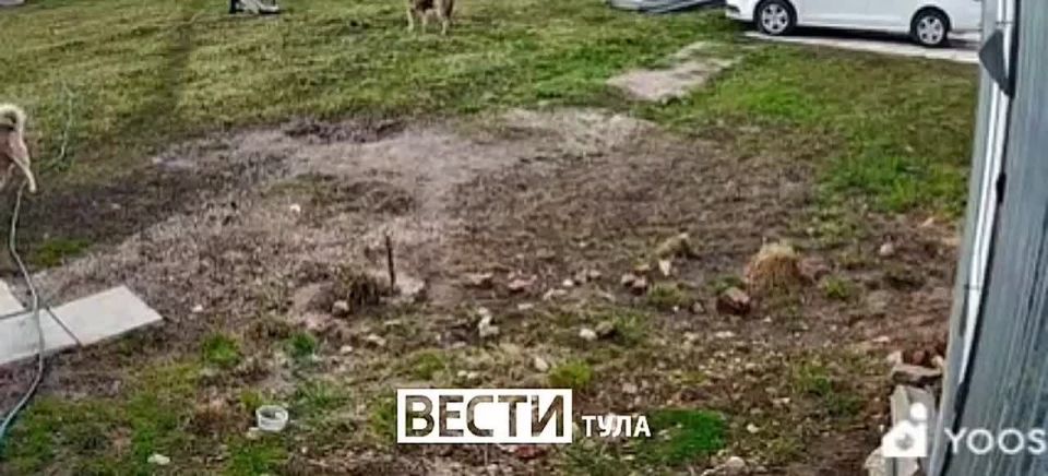 ������ �������� ������� ������ ����, ������ ������ ��� �� �������: �����