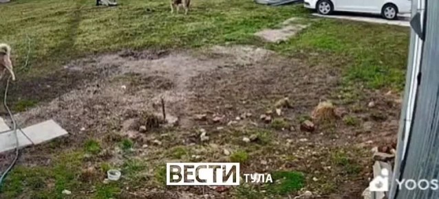 ������ �������� ������� ������ ����, ������ ������ ��� �� �������: �����