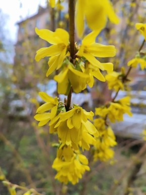 ����� ����� ����: ���������, �� �� �������