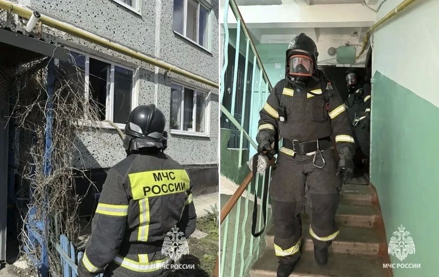 � �������� �������� ������ 14-������ ������� �� ���������� ��������