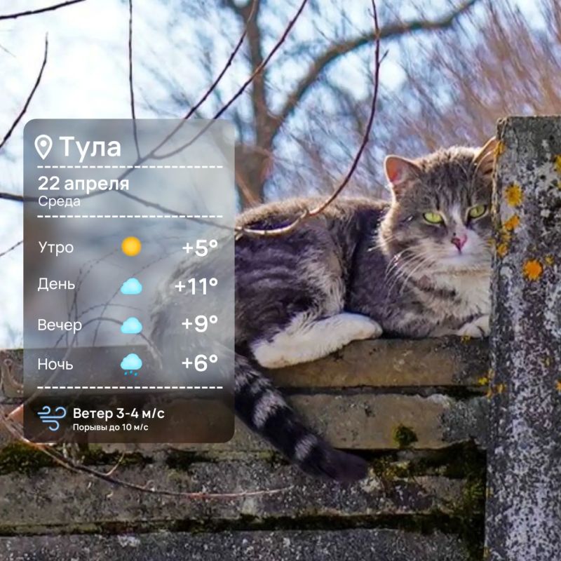 ������ ����. ����� ����� ������, �� ���������