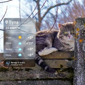 ������ ����. ����� ����� ������, �� ���������