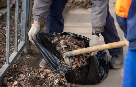 � �������� ������� ���������, ����� ������������� ����� ���� ������ �������� �������