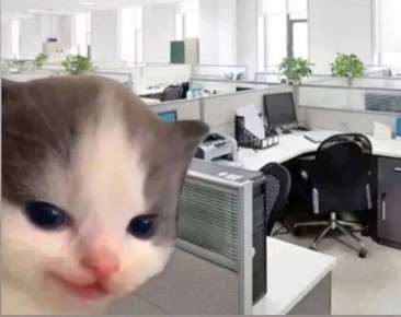 ������ ����� �������� ���� ������ ��� �� ��������� ������