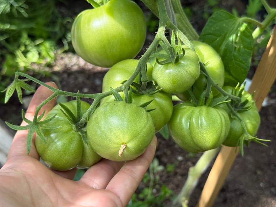 ����� ��������� ������: 7 ���������� ������� ��������� ������������ �������