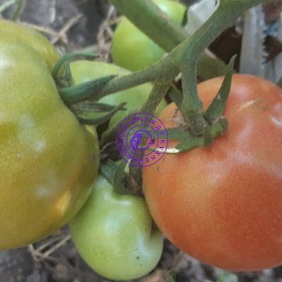 ����� ������ ������: �������� ���������� ��� ��������