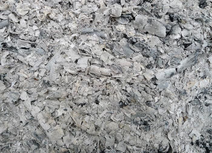 ������ ��� ������������� ����: ��� ����� ����� ��� �������� ��������