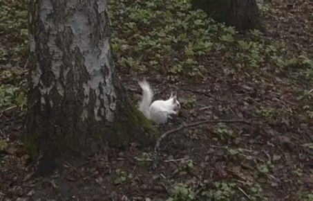 � ����� ����� ��������� �������� ����� ��������� �����-���������