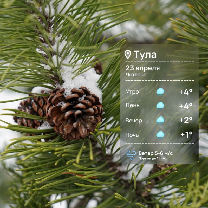 ������ ����. ��������� �����? ������� ��� ������ ����� ����������