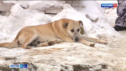 ������� ������ �� �����, � �������� �����: ��� � ������� ���������� ��������� ���������� 195 �����