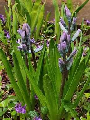 ������ ��������� ����! ������ ��������� �� ���� ��������� ������� ����