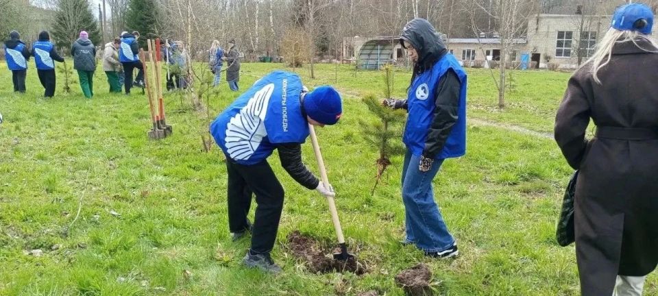 ������� ������: ���������� ���� � �������� �����