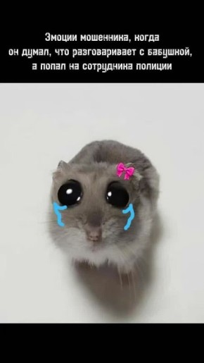 #��� #��������� #������� #������������� #Police #RussianPolice #Russia #���������������