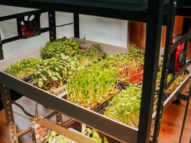 �����������: ���������� ��������� � ���������� ��������