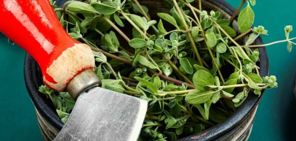 �������: ���������� ����� � �������� � ���������� �������� �������