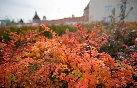 � �������� ��� ������� ���� � ������ �� ��������� �� ������������� �������