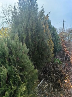 ��� ��������� ����������� ������� �������� � ����: ������ � ������������